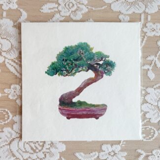 Bonsai A5 print